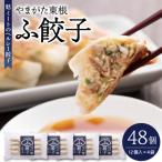 やまがた東根 ふ餃子 12個×4セット