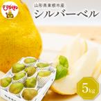 梨 2026年産 西洋梨 シルバーベル 5kg