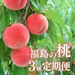 ふるさと納税 福島市 福島の桃3種定期便 各2kg【2025年発送】No.2791