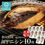 ふるさと納税 利尻富士町 利尻島産 開きニシン10枚＜利尻漁業協同組合＞