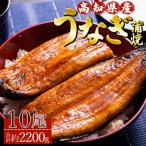 うなぎ蒲焼 約220g10尾 産鰻 養殖 鰻蒲焼