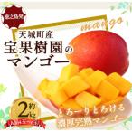 徳之島 宝果樹園 完熟 マンゴー A品 2kg