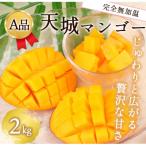 徳之島 完全無加温 完熟 マンゴー A品 2kg