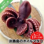 fu.... налог юг ... город [ цветок свет ] Awaji Island. Boyle осьминог обыкновенный ( круг ..1 шт )[ рефрижератор ]