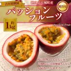 徳之島 吉川果樹園 パッションフルーツ 1kg