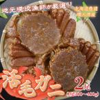ふるさと納税 豊浦町 【先行受付】【地元現役漁師が厳選】活毛ガニ2尾(1尾300〜400g)毛ガニ 冷蔵 TYUR036