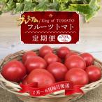 2027年1月~6月毎月発送 プレミアムフルーツトマトの定期便