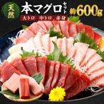 厳選天然本マグロセット 大トロ 中トロ 赤身の食べ比べ3種…