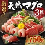厳選天然マグロ3種セット 南鮪 目鉢鮪 びんちょう鮪