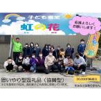 土佐清水市への寄付（返礼品なし）