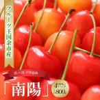 ふるさと納税 余市町 2025年発送【先行受付】【2L〜3Lバラ】200g×4【ニトリ観光果樹園】_Y074-0119
