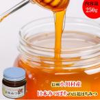 日本みつばち 百花はちみつ250g*254