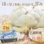 < 特産 ゆり根>しっとり上品な味わいの栄養満点な冬…