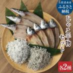 浜口海産物店のじゃこ2種と干物2種セット