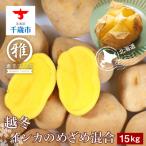 越冬インカのめざめ混合 S~2L混合 約15kg