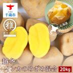越冬インカのめざめ混合 S~2L混合 約20kg