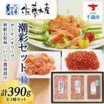 <佐藤水産>潮彩セットB