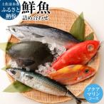 おまかせ 季節の鮮魚 お楽しみセット アクアマリンコース