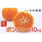 ふるさと納税 愛南町 数量限定 先行受付 訳あり ポンカン 10kg みかん 国産 吉田農園 愛南町 愛媛県