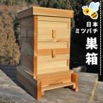 東 日本ミツバチ用 飼育箱