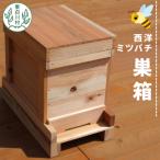 東 西洋ミツバチ用 飼育箱