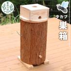 東 タカブ用 飼育箱