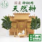 東 神棚用 榊 2束
