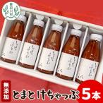 東 無添加 桃太郎トマトのトマトケチャップ