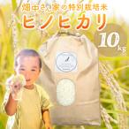 ひのひかり 玄米 10kg