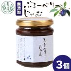 東 無添加 ブルーベリージャム 3個