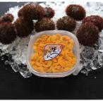 ふるさと納税 根室市 エゾバフンウニ塩水パック100g×1P[2026年3月上旬以降発送] A-71044