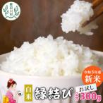 東 縁結び 白米 お試し2合 300g