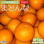 紅まどんなと同品種 果物 オレンジ 柑橘 みかん
