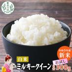 東 ミルキークイーン 白米 お試し 2合