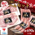 ハム セットA NYH-02 5品