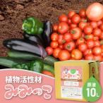 植物活性材 みみっこ 原液 10L
