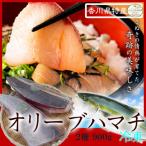 オリーブハマチ 冷凍 柵2本
