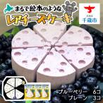 チーズケーキ 食べ比べセット ブルーベリー6個