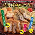 料理屋富士の特選揚げ物セット