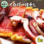 イカの一日干し 3枚