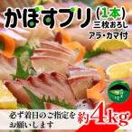 こんなブリ食べたことない うすき産かぼすブリ 1本