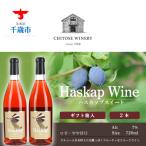 千歳ワイナリー ハスカップスイート720ml×2本
