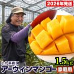 ふるさと納税 南風原町 【2026年発送】なか果樹園 家庭用 アーウィンマンゴー1.5kg
