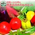 ★道の駅田野駅屋★特産品詰め合わせセット