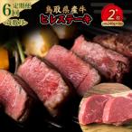 ふるさと納税 倉吉市 鳥取県産牛 ヒレステーキ6回定期便<奇数月>