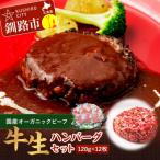 通常発送 生ハンバーグ120g×12枚
