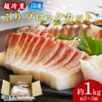 <異次元の鮮度 超冷薫 冷凍ぶり ブロックカット 1kg