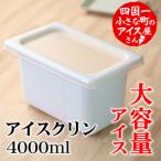 ふるさと納税 田野町 【四国一小さなまちのアイス屋さん】≪松崎冷菓≫大容量アイス4000ml ★アイスクリン★