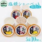 塩姫シャーベット 5種詰め合わせセット 100ml×10個