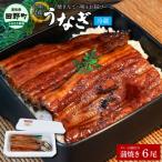 特選うなぎの蒲焼き6尾 特製タレ付き 130g×6尾